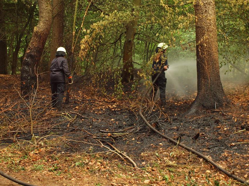 Waldbrand Bergisch Gladbach Bensberg P184.JPG